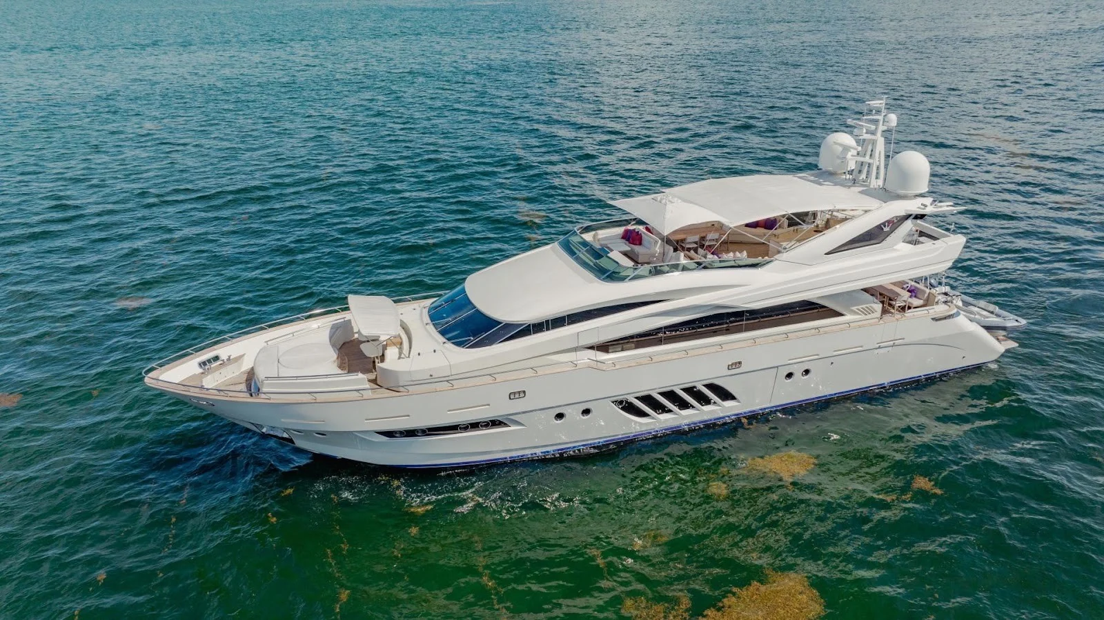 Dominator Senay cruising off the Miami skyline